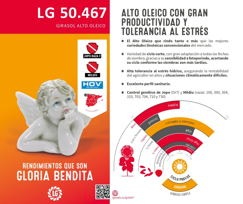 LG 50.467