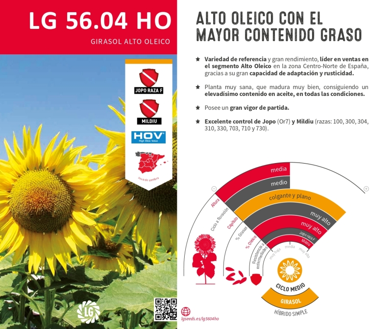 LG 56.04 HO