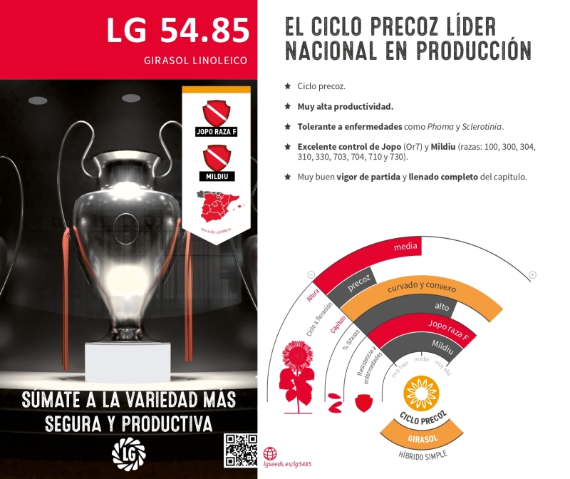 LG 54.85