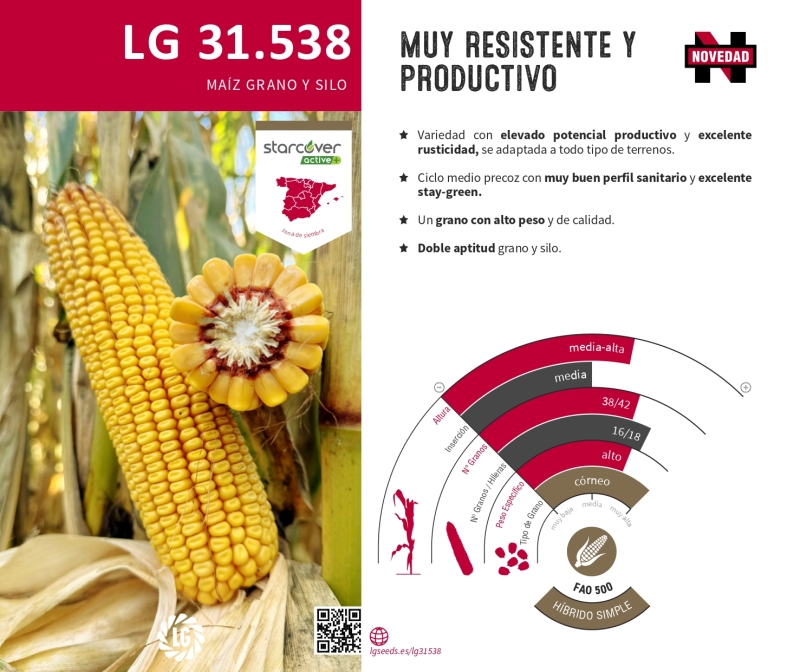 LG 31.538