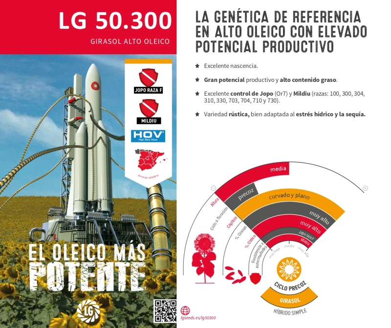 LG 50.300