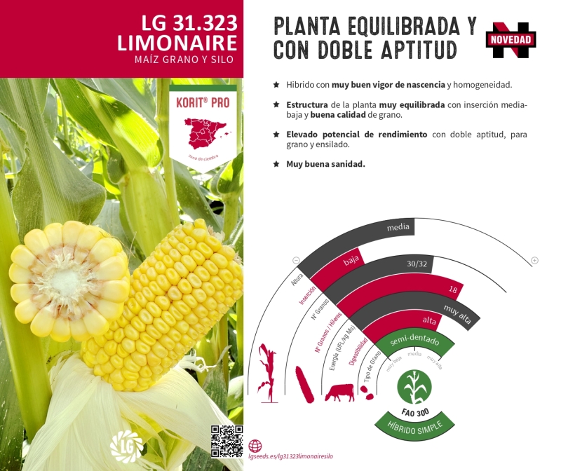 LG 31.323 LIMONAIRE