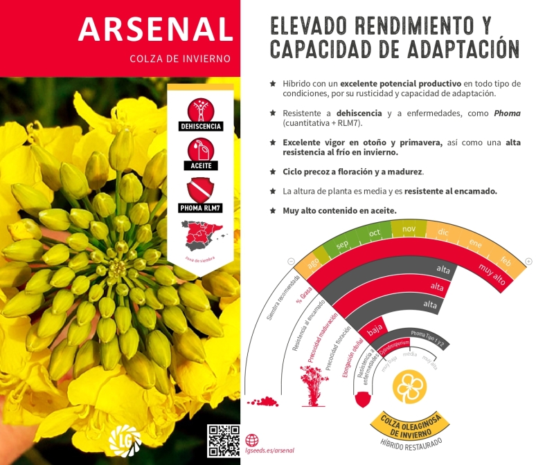 ARSENAL
