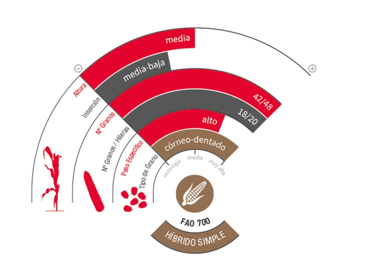 LG 31.700