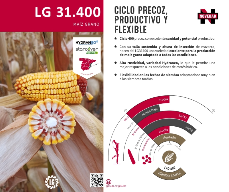 LG 31.400