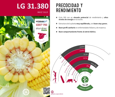 LG 31.380