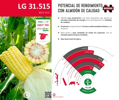 LG 31.515