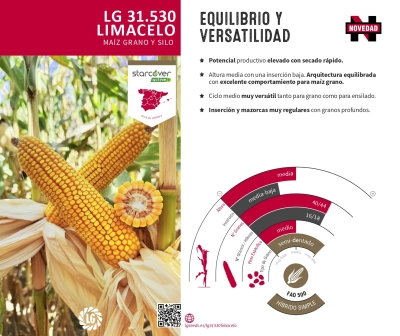 LG 31.530 LIMACELO