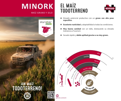 MINORK - dosete