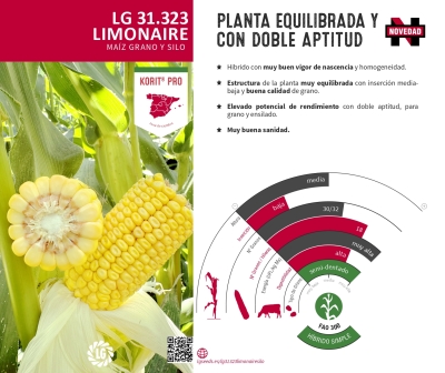 LG 31.323 LIMONAIRE
