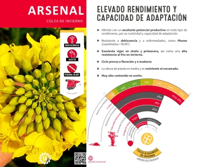 ARSENAL