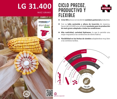 LG 31.400