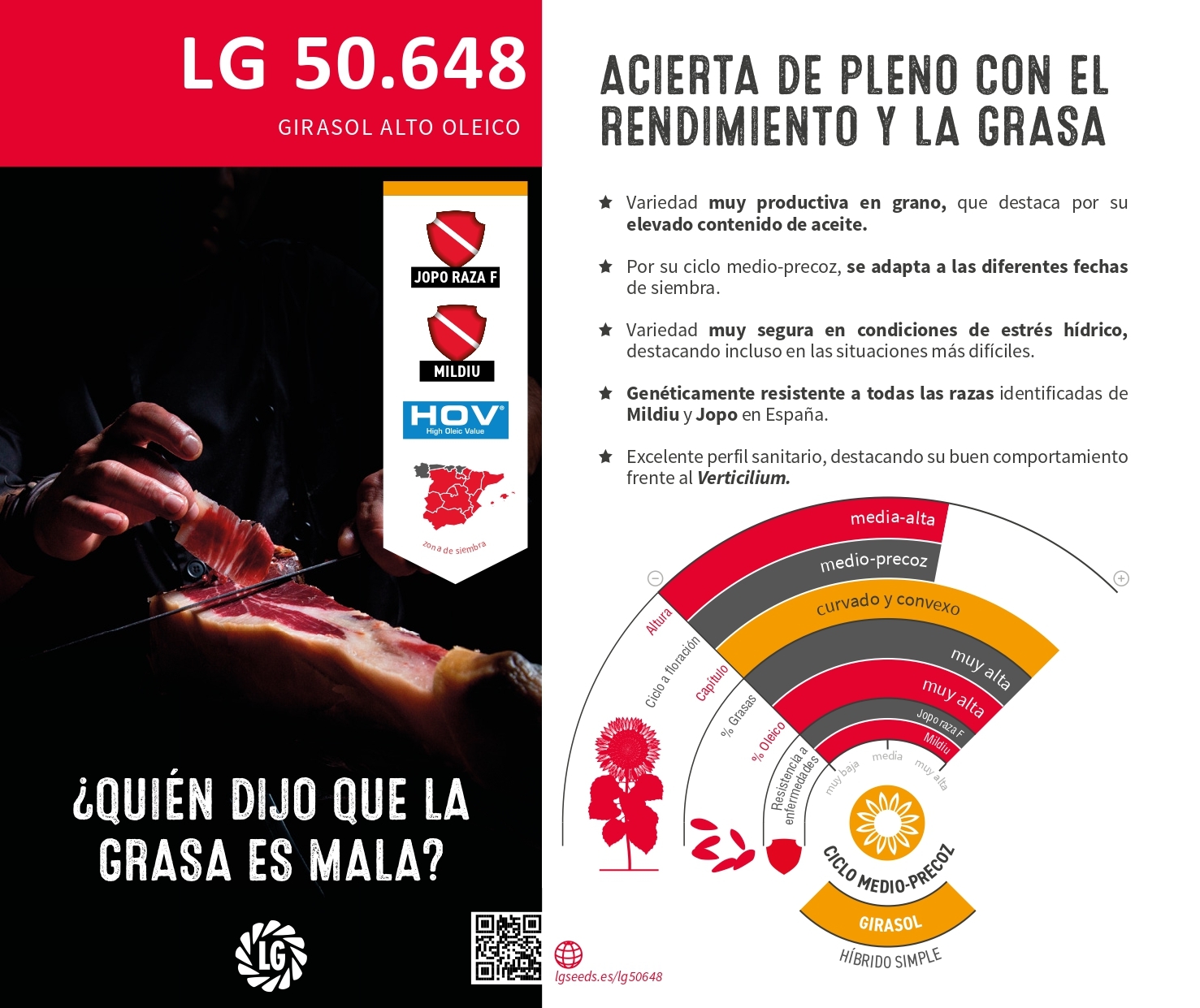 LG 50.648