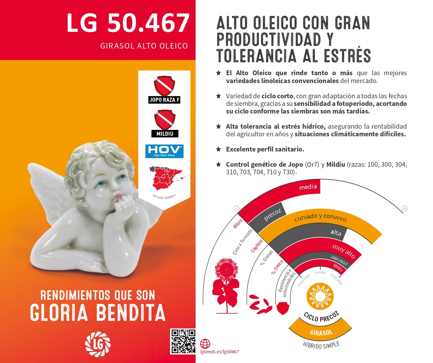 LG 50.467