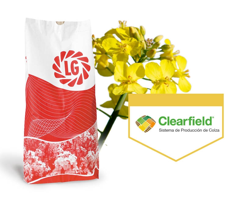 LG CARLTON CL