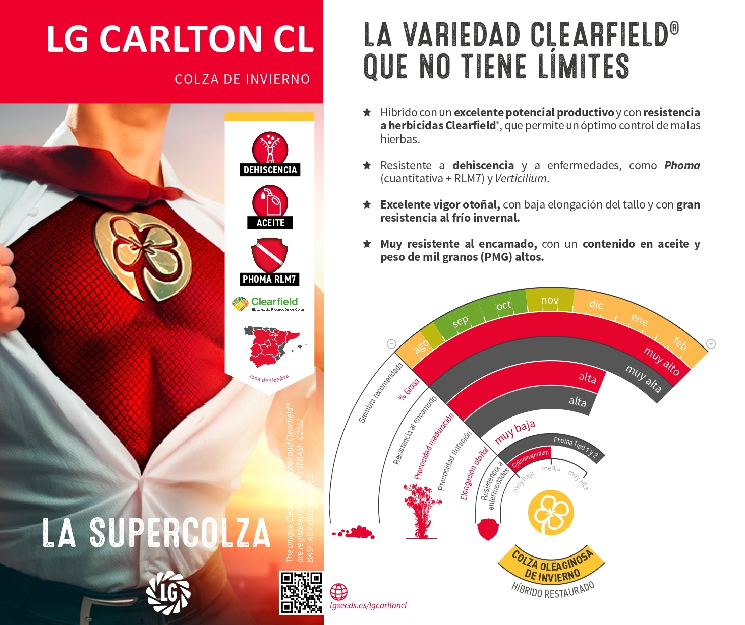 LG CARLTON CL