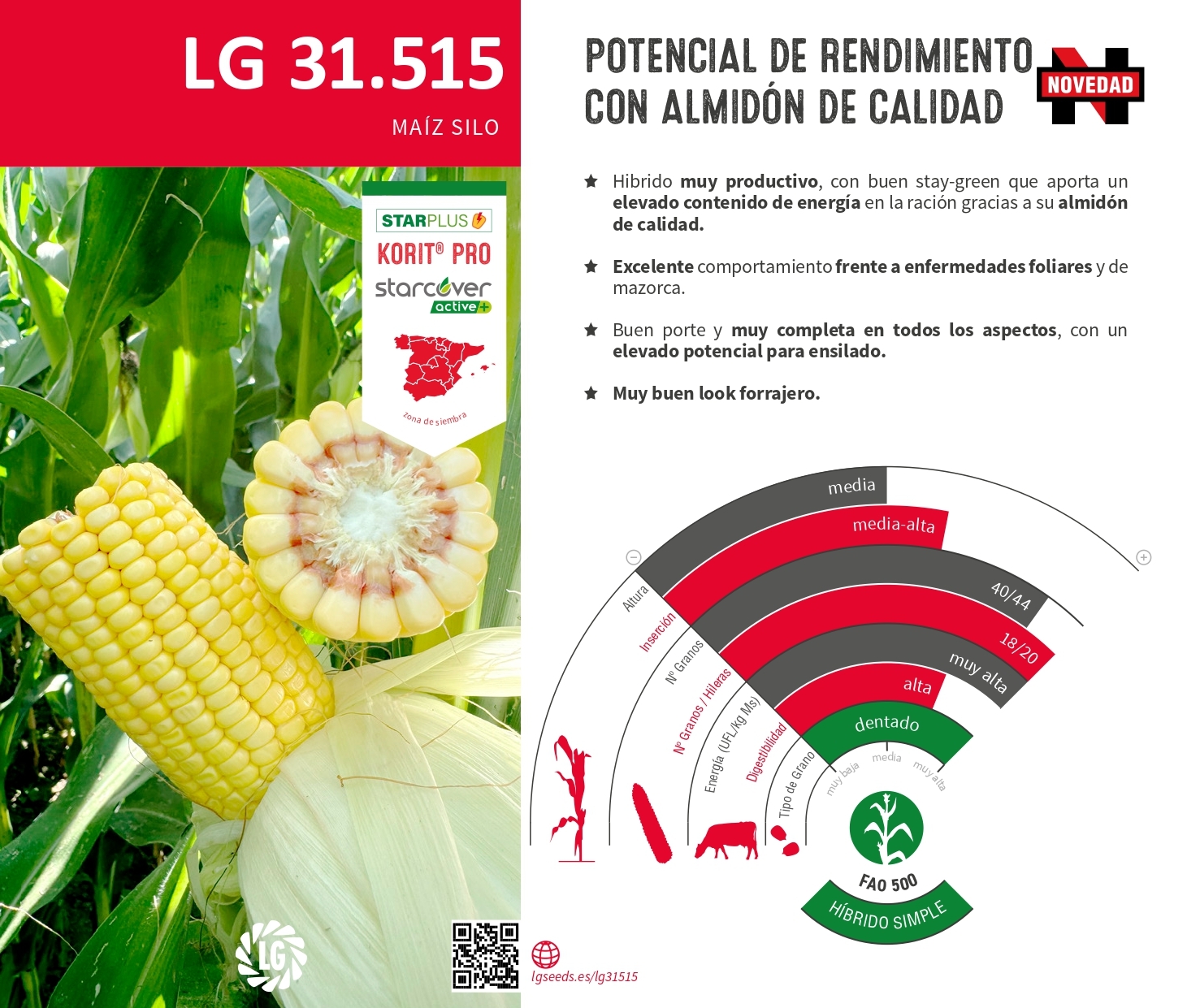 LG 31.515