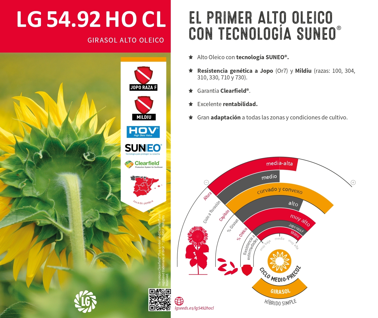 LG 54.92 HO CL
