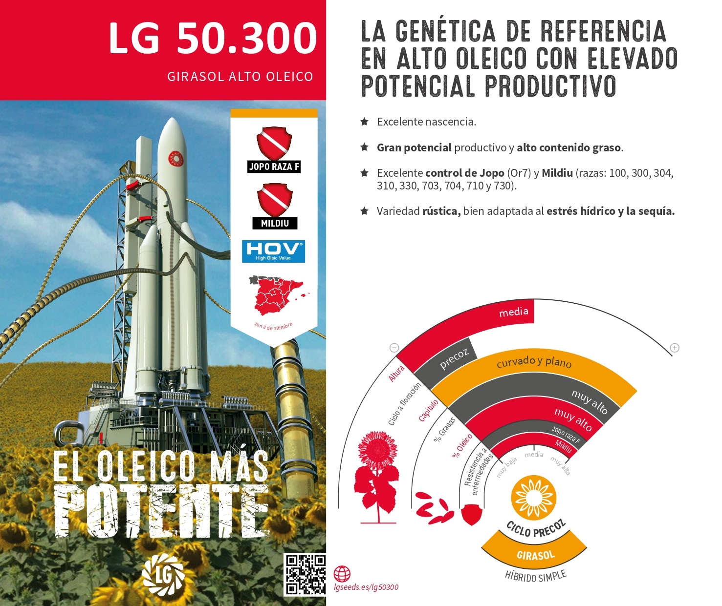 LG 50.300