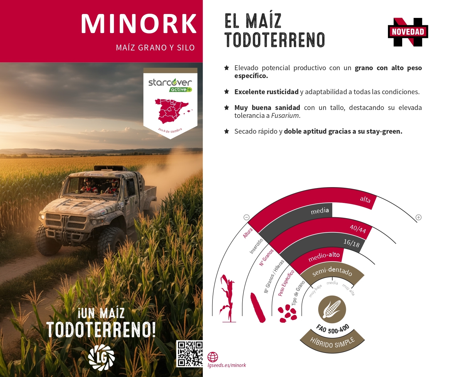 MINORK - dosete