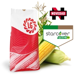 LG 31.323 LIMONAIRE
