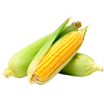 Maíz